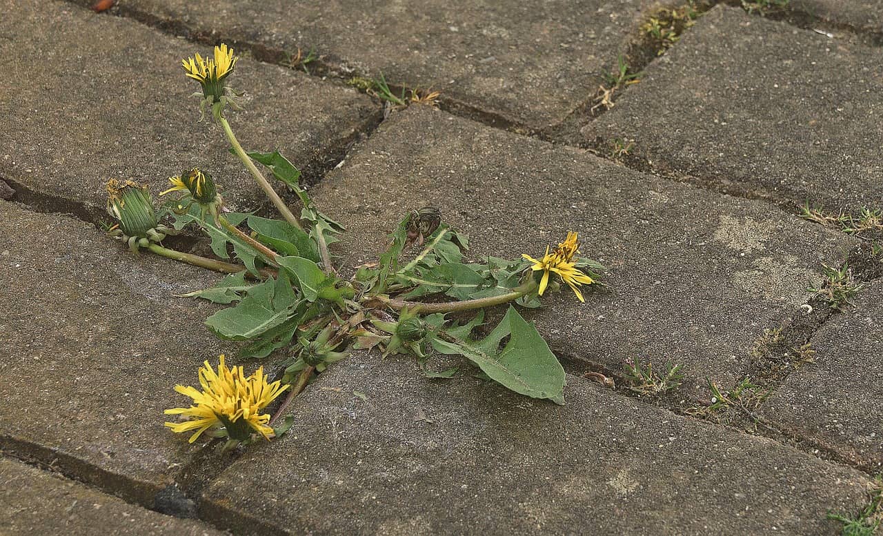 Resilienz als Hilfe bei der Pflege