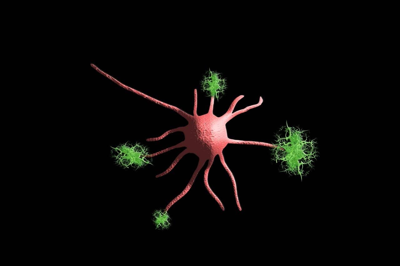 Polyneuropathie im Alter